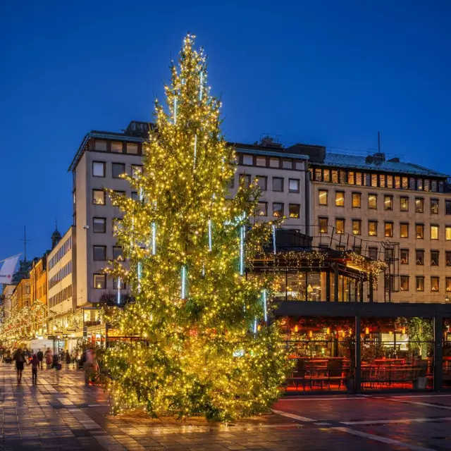 En stor julgran på ett torg klädd med varma ljusslingor.